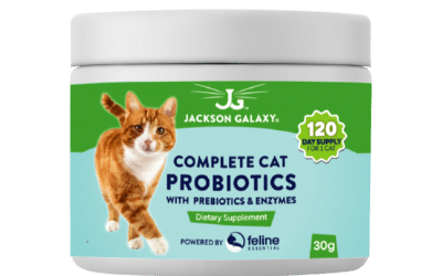Probiotics for cats made specifically to help digestive health in felines. Contains both prebiotics and digestive enzymes as well as probiotics and is microencapsulated, insuring that the good bacteria is not destroyed while moving through the stomach acid of cats. Best probiotic for cats available.