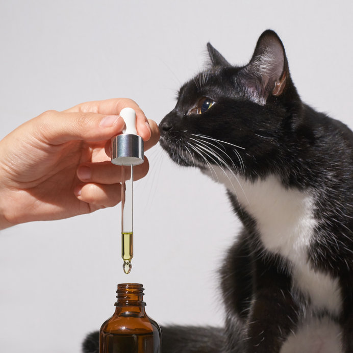 While Cats Need Fish Oil for the omega 3 fatty acid health benefits it provides, don't just believe that any fish oil will do.