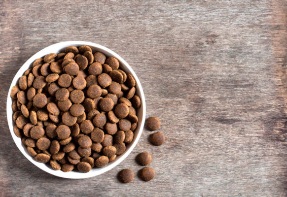 If you are Feeding Kibble to your cats, there are some things you need to understand about the food itself.