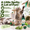 Kitty Crack-Nip organic catnip spray for cats, designed to encourage playful curiosity, inspire exploration and add fun to everyday enrichment.