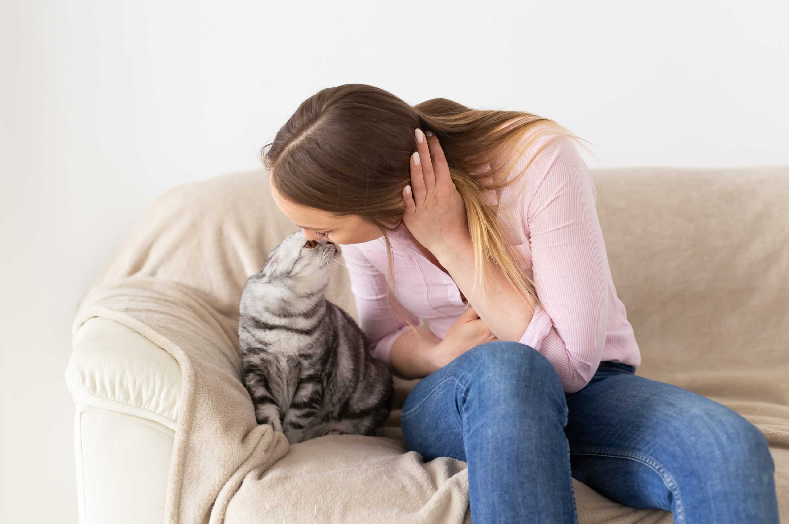 how-to-find-a-cat-sitter-two-crazy-cat-ladies