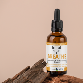 Breathe - Image 2