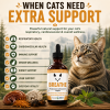 Medicinal mushroom support for cats promoting respiratory health, cardiovascular wellness, immune support, kidney health, liver health, and everyday vitality.