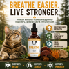 Breathe medicinal mushroom tincture for cats supporting respiratory health, cardiovascular wellness, heart health, and immune function with premium mushroom extracts.