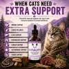 Medicinal mushroom supplement for cats supporting immune function, liver health, respiratory health, senior wellness, autoimmune support, tumor support, and daily vitality.