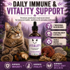 Vitality medicinal mushroom tincture for cats supporting immune health, daily vitality, and whole-body wellness with seven medicinal mushroom extracts.