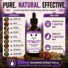 Vitality mushroom tincture ingredients and directions featuring Turkey Tail, Reishi, Shiitake, Maitake, Chaga, Artist Conk, Red Belted Conk, Astragalus, Ashwagandha, and daily dosing for cats.