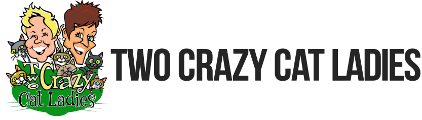 What To Do If Your Cat Stops Eating Two Crazy Cat Ladies