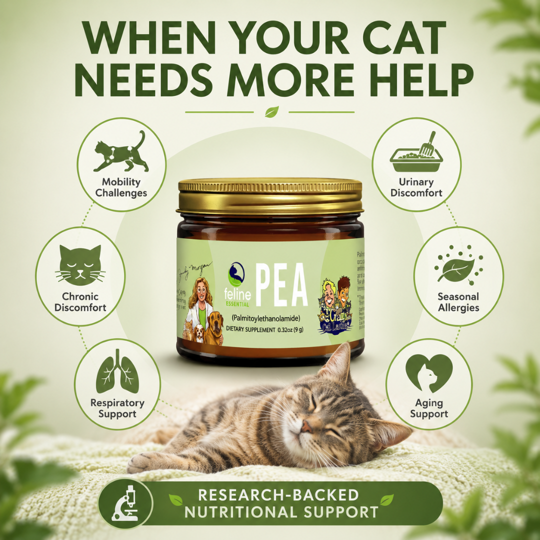 PEA for cats supporting urinary health, allergies, mobility, respiratory wellness and aging cats