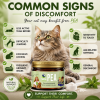 Signs of discomfort in cats including stiffness, urinary issues, excessive licking and reduced activity