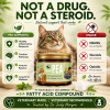 PEA supplement for cats supporting comfort and wellness without steroids, opioids or NSAIDs