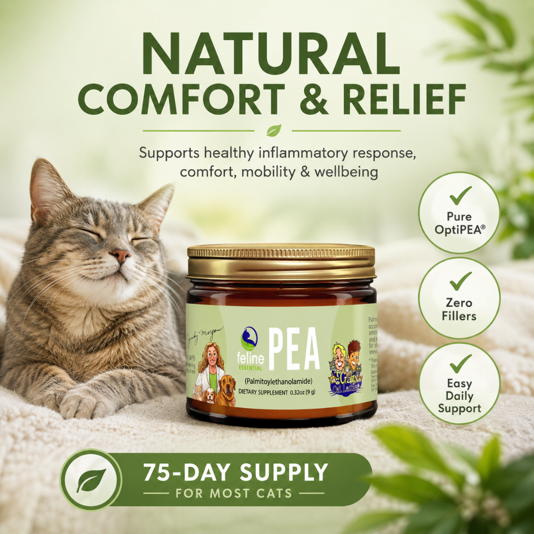 PEA for Cats natural palmitoylethanolamide supplement supporting comfort, mobility and healthy inflammatory response