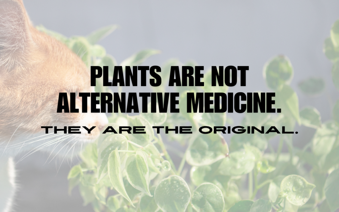 Plants Are Not “New Age” Medicine