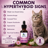 Signs of feline hyperthyroidism including weight loss, increased appetite, thirst, vocalization, restlessness, and poor coat condition.
