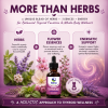 Holistic thyroid support for cats featuring herbs, flower essences, and energetic support in ThyroEase for Cats.