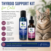 hyroid Support Kit for Cats featuring CATalyst and ThyroEase liquid supplements beside a healthy tabby cat. Natural thyroid support kit formulated to help maintain healthy thyroid function, support overall wellness, and promote quality of life in cats with hyperthyroidism.