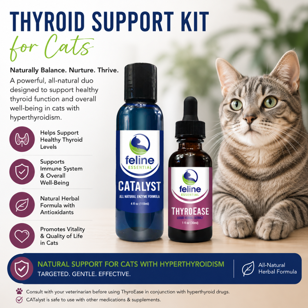 hyroid Support Kit for Cats featuring CATalyst and ThyroEase liquid supplements beside a healthy tabby cat. Natural thyroid support kit formulated to help maintain healthy thyroid function, support overall wellness, and promote quality of life in cats with hyperthyroidism.