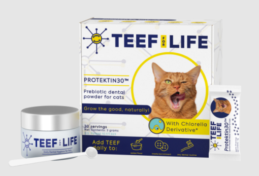 TEEF for Cats - Image 2