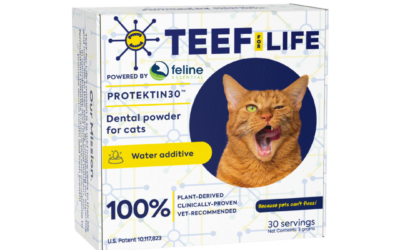 TEEF for Cats powered by Feline Essential is a dental additive for cats to correct their dental health easily and quickly at home. This powdered product is tasteless, odorless and uses science-backed technology. No fillers, additives or preservatives.