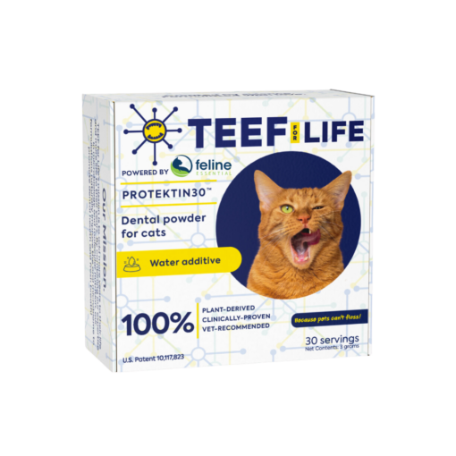 TEEF for Cats powered by Feline Essential is a dental additive for cats to correct their dental health easily and quickly at home. This powdered product is tasteless, odorless and uses science-backed technology. No fillers, additives or preservatives.