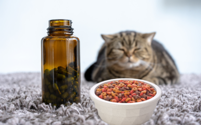 The Truth About Prescription Diets for Cats: Are They Really Necessary?