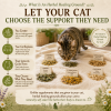 Cat exploring an Ageless Organic Herb Garden healing ground with individually placed organic herbs, demonstrating instinctive self-selection for natural wellness and enrichment.