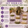 Cat exploring a Boundless Organic Herb Garden with individually placed organic herbs including catnip, valerian root, chamomile, hops, lavender, nettle, and marshmallow root for instinctive self-selection and natural enrichment.