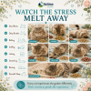 Relaxed cat using a Calm Organic Herb Garden by slow blinking, sniffing, rolling, stretching, licking, resting, and peacefully sleeping after exploring individually placed organic herbs.