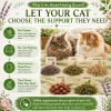 Two cats exploring a Peace Organic Herb Garden with individually placed organic herbs including lavender, catnip, valerian root, rose buds, and lemon balm for instinctive self-selection and natural harmony between cats.
