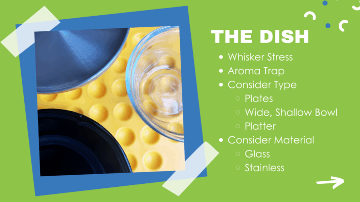 How you feed your cat is nearly as important as what you feed your cat. Choose your cat's dish wisely.