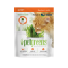 Grow cat grass at home with this organic, easy kit. Just add water and watch it grow!