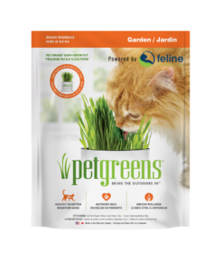 Grow cat grass at home with this organic, easy kit. Just add water and watch it grow!