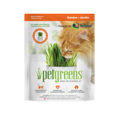 Grow cat grass at home with this organic, easy kit. Just add water and watch it grow!