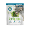 Growing cat grass for your cats is healthy when it's organic cat grass. This medley is a simple, easy way to bring the outside in!