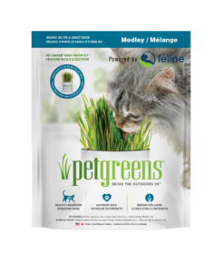 Growing cat grass for your cats is healthy when it's organic cat grass. This medley is a simple, easy way to bring the outside in!