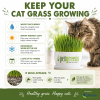 Cat grass care guide with tips for watering, sunlight, refrigeration, mold care, and keeping organic wheatgrass fresh for up to four weeks for indoor cats.