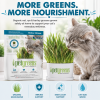 Educational infographic highlighting the naturally occurring vitamins, amino acids, enzymes, antioxidants, minerals, and gentle fiber found in the Super Greens Blend organic cat grass kit.