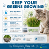 Organic cat grass care guide with watering, lighting, refrigeration, and mold care tips to help keep the Super Greens Blend fresh for up to four weeks.