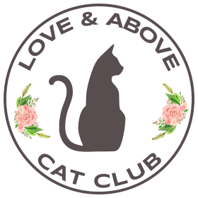 Love and Above Cat Club