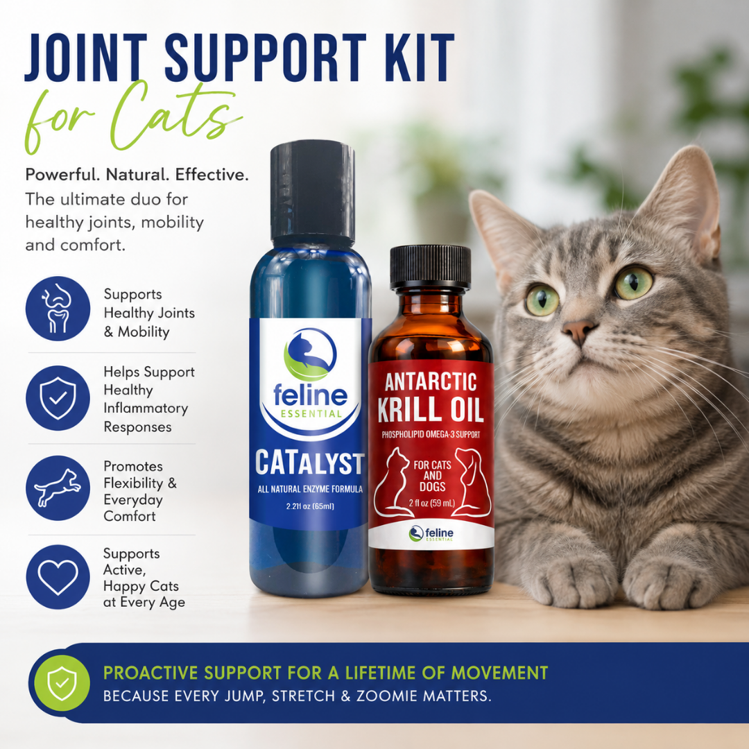 Joint support for cats