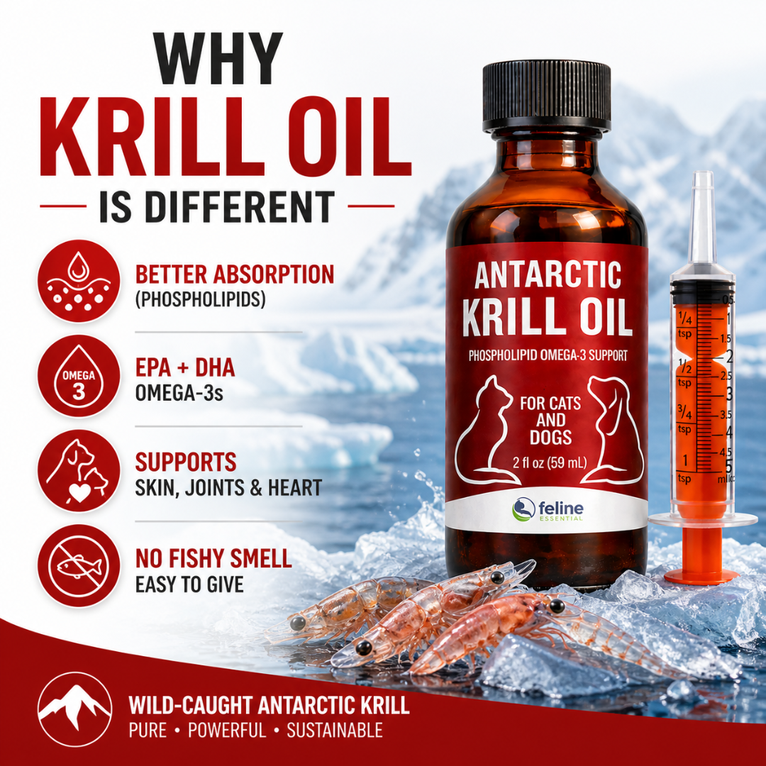Antarctic krill oil for cats and dogs with syringe, highlighting benefits like better absorption, omega-3 EPA and DHA, joint and skin support, and no fishy smell. Omega 3s for pets.