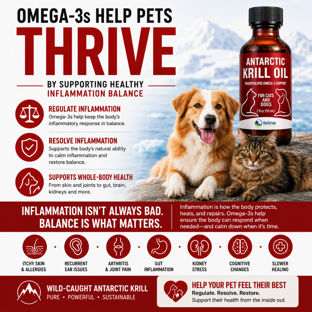 Omega 3 supplements for cats and dogs help them thrive by reducing inflammation, supporting the kidneys, joints, brain, skin and heart. This is the most absorbable krill oil on the market. Best omega 3 supplement for pets of all ages.
