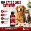 Antarctic krill oil for cats and dogs with syringe, highlighting benefits like better absorption, omega-3 EPA and DHA, joint and skin support, and no fishy smell. Omega 3s for pets.