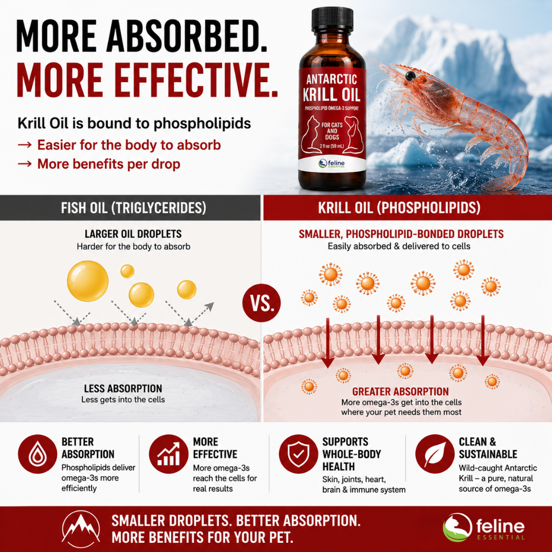 Omega 3 supplements for cats and dogs help them thrive by reducing inflammation, supporting the kidneys, joints, brain, skin and heart. This is the most absorbable krill oil on the market. Best omega 3 supplement for pets of all ages.