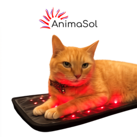 Red Light Therapy 